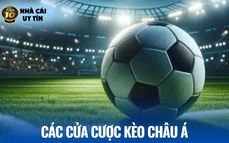 Cách đọc hiểu về từng cửa cược