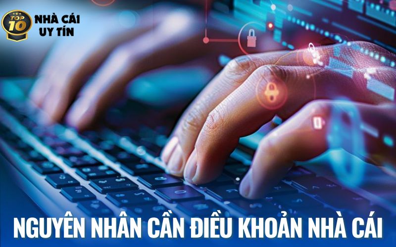 Nguyên nhân nên có điều khoản nhà cái