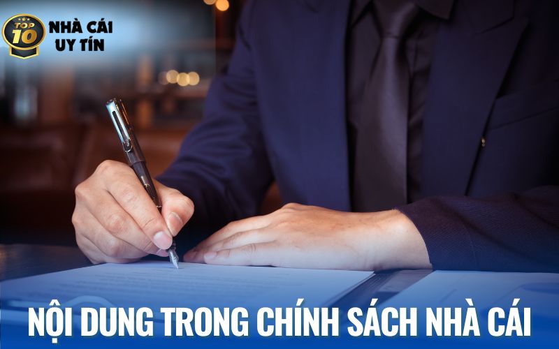 Tổng hợp nội dung trong chính sách của trang web
