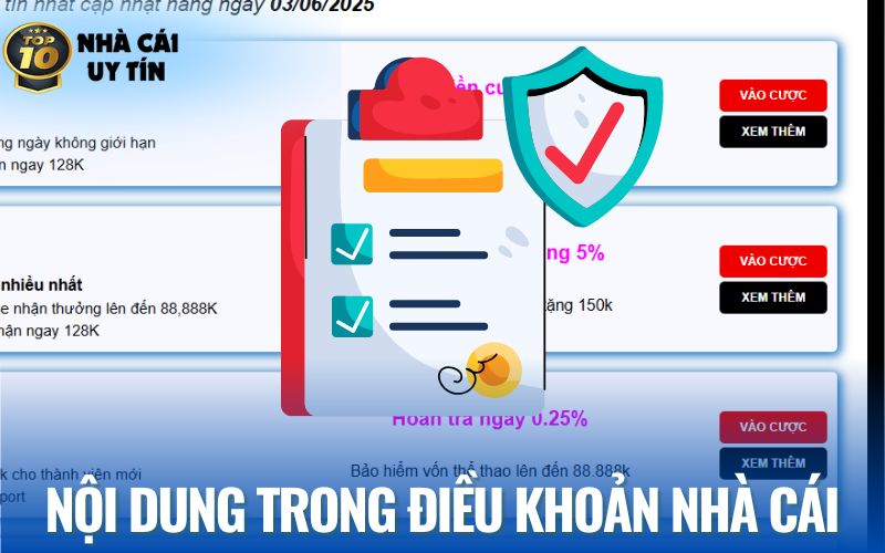 Tổng quan những nội dung quan trọng trong điều khoản